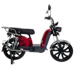 electric vehicles ladyboy head bumblebee front pocket lead-acid battery/lithium battery electric vehicles